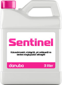 Danuba Sentinel